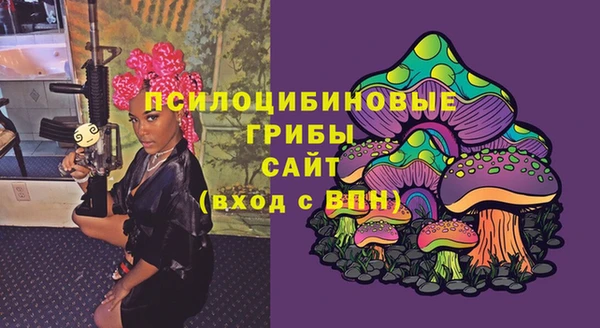 прущий лед Верея
