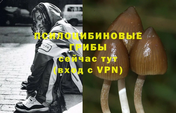 jwh Струнино
