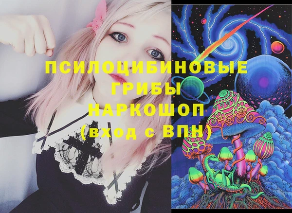 PSILOCYBIN Волосово