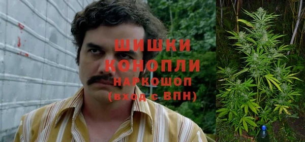 шишки Ступино