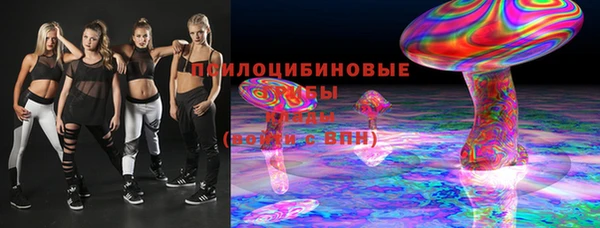 мдпв Верхний Тагил