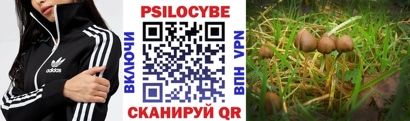 как найти наркотики  Нея  Галлюциногенные грибы ЛСД 